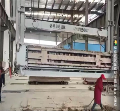 Somersault Peeling Machine