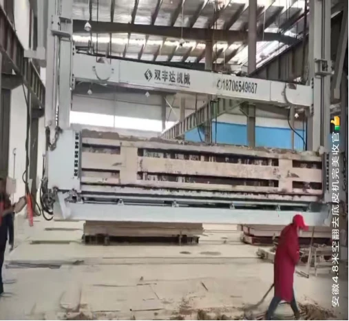 Somersault Peeling Machine